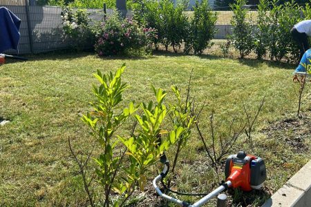 Gartenpflege