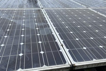 Solarpanel Reinigung